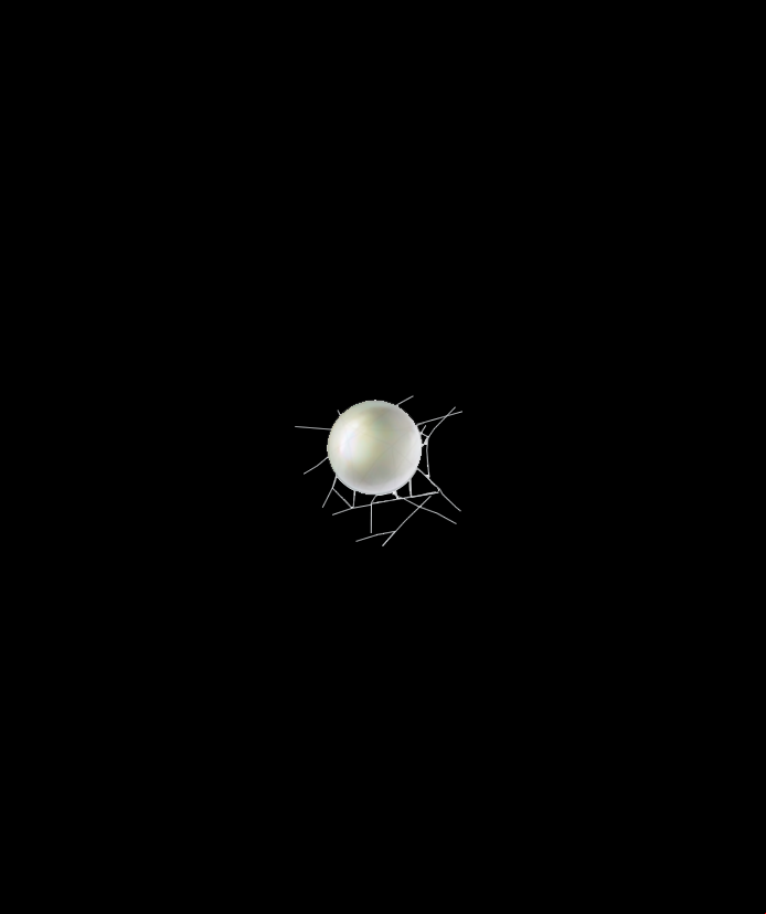 Two-spotted spider mite Tetranychus urticae Egg Illustration